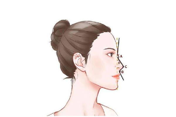 隆鼻價(jià)格大概多少 隆鼻去三甲醫(yī)院好還是美容醫(yī)院好 隆鼻價(jià)格大概多少 隆鼻去三甲醫(yī)院好還是美容醫(yī)院好