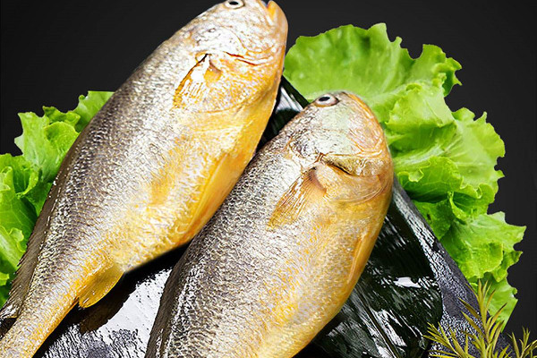 黃花魚的作用和功效 黃花魚可以燉湯嗎 黃花魚的作用和功效 黃花魚可以燉湯嗎