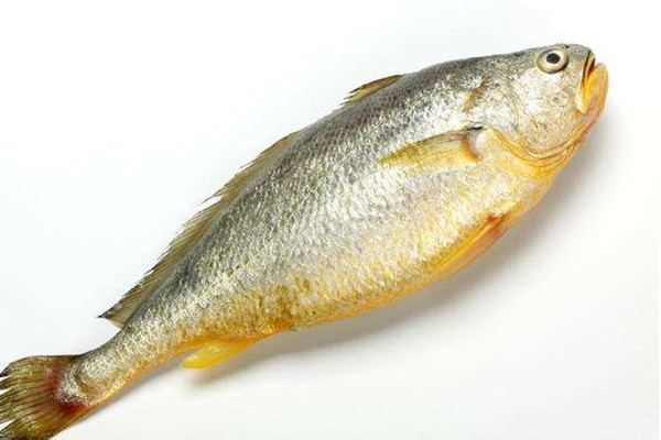 黃花魚(yú)嘌呤含量高嗎 黃花魚(yú)不適合什么人吃