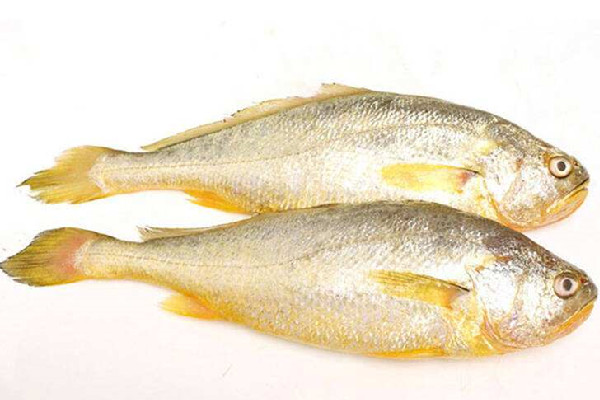 黃花魚(yú)嘌呤含量高嗎 黃花魚(yú)不適合什么人吃
