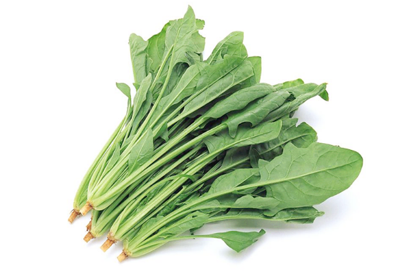 菠菜屬于涼性的嗎 菠菜是什么季節(jié)的 菠菜屬于涼性的嗎 菠菜是什么季節(jié)的