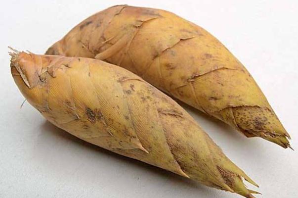 冬筍的功效和作用 冬筍每斤40元價(jià)格貴過(guò)肉