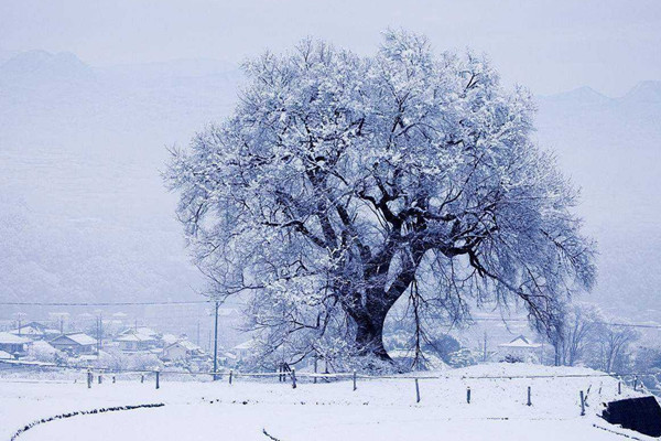 大寒是幾月幾日2022 大寒每年都是同一天嗎 大寒是幾月幾日2022 大寒每年都是同一天嗎