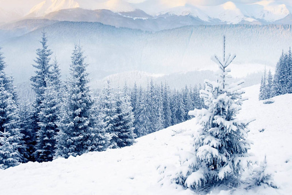 大寒是最冷的節(jié)氣嗎 大寒節(jié)氣的含義是什么 大寒是最冷的節(jié)氣嗎 大寒節(jié)氣的含義是什么