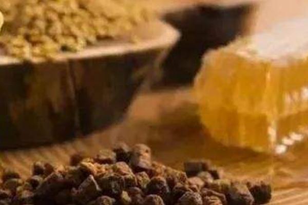 蜂膠要放冰箱保存嗎 蜂膠該如何保存 蜂膠要放冰箱保存嗎 蜂膠該如何保存