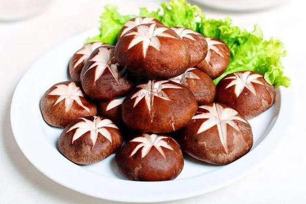 蘑菇有酒味能吃么 蘑菇變質(zhì)吃了會中毒嗎 蘑菇有酒味能吃么 蘑菇變質(zhì)吃了會中毒嗎