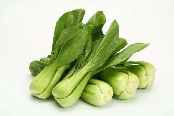 上海青能放冰箱嗎 上海青可以常溫保存嗎 上海青能放冰箱嗎 上海青可以常溫保存嗎