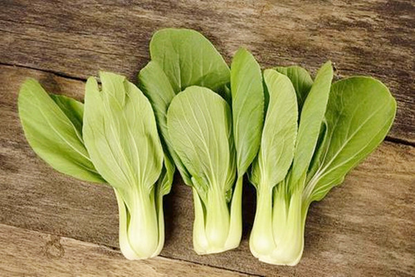 上海青可以包餃子吃嗎 上海青吃了會(huì)發(fā)胖嗎 上海青可以包餃子吃嗎 上海青吃了會(huì)發(fā)胖嗎