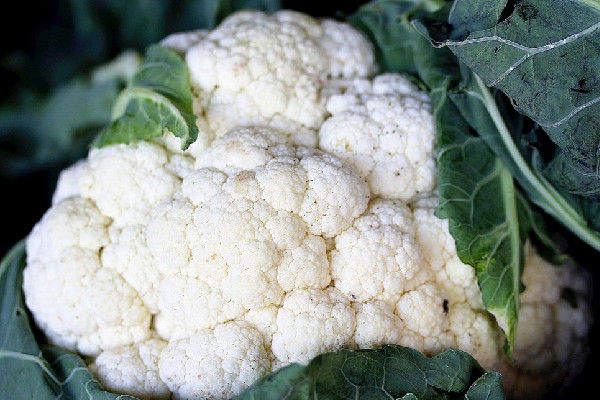 花菜吃了胃疼是怎么回事 花菜對胃有什么影響 花菜吃了胃疼是怎么回事 花菜對胃有什么影響