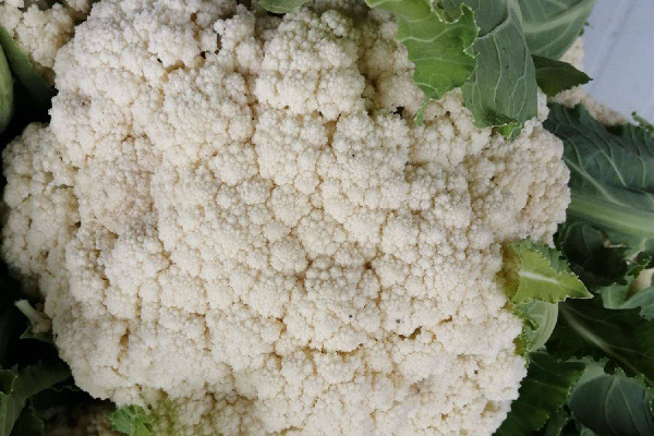 花菜和西藍(lán)花的營養(yǎng)區(qū)別 花菜和什么菜搭配好吃 花菜和西藍(lán)花的營養(yǎng)區(qū)別 花菜和什么菜搭配好吃