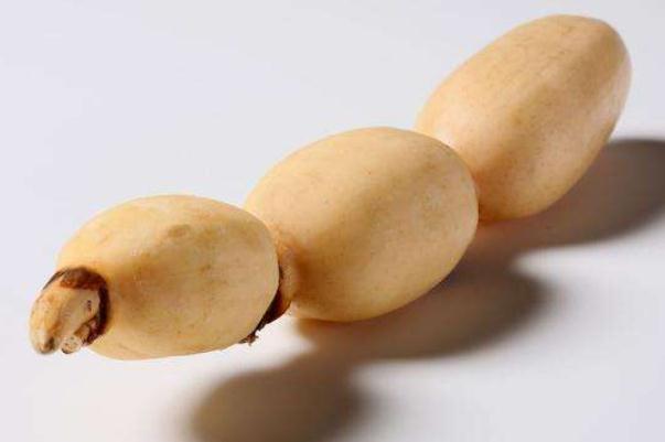 蓮藕對痛風有影響嗎 痛風可以吃蓮藕嗎