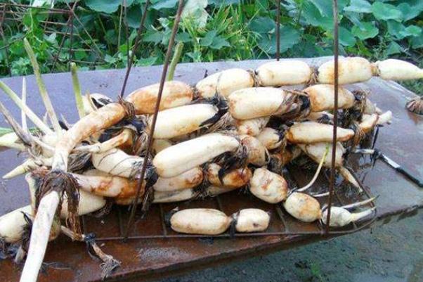 蓮藕的嘌呤含量是多少 蓮藕的糖分高嗎 蓮藕的嘌呤含量是多少 蓮藕的糖分高嗎