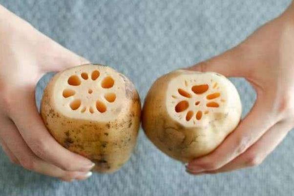 蓮藕有幾種品種 蓮藕會胖嗎 蓮藕有幾種品種 蓮藕會胖嗎