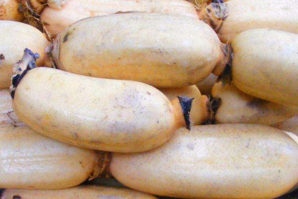 蓮藕是不是發(fā)物 蓮藕是碳水嗎 蓮藕是不是發(fā)物 蓮藕是碳水嗎