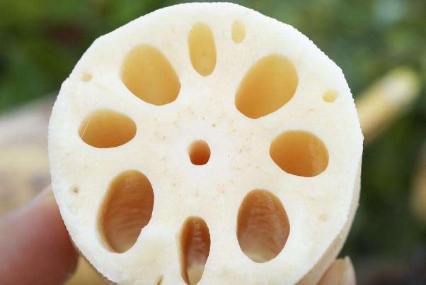 蓮藕對(duì)血糖的影響 血糖高可以吃蓮藕?jiǎn)? alt=