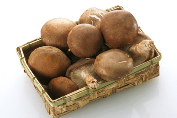 香菇是不是涼性的 香菇是不是堿性食物 香菇是不是涼性的 香菇是不是堿性食物