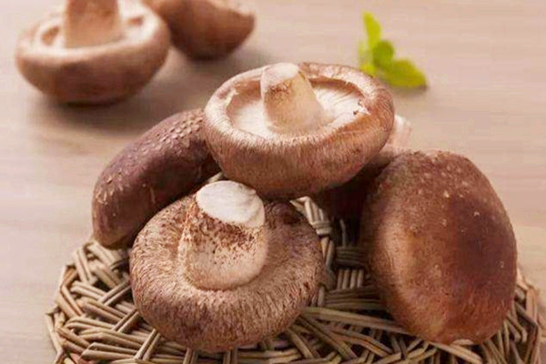 香菇孕婦可以吃嗎 香菇孕婦吃了有什么好處 香菇孕婦可以吃嗎 香菇孕婦吃了有什么好處