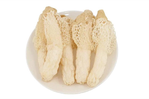 竹蓀是什么東西 竹蓀是菌菇類嗎 竹蓀是什么東西 竹蓀是菌菇類嗎