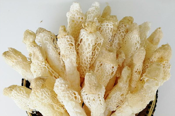 竹蓀用冷水泡還是熱水泡 竹蓀要泡多久 竹蓀用冷水泡還是熱水泡 竹蓀要泡多久