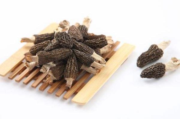 羊肚菌哪里產(chǎn)的最好 羊肚菌的食用方法 羊肚菌哪里產(chǎn)的最好 羊肚菌的食用方法