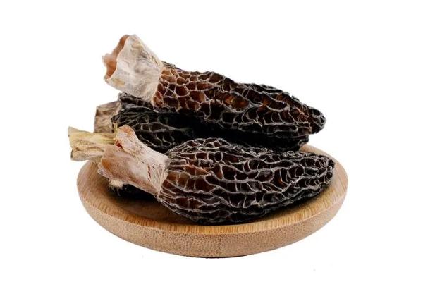 羊肚菌哪里產(chǎn)的最好 羊肚菌的食用方法 羊肚菌哪里產(chǎn)的最好 羊肚菌的食用方法