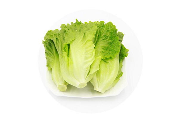 生菜的熱量是多少大卡 生菜吃了會不會長胖 生菜的熱量是多少大卡 生菜吃了會不會長胖