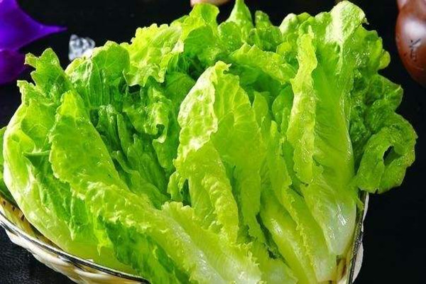 生菜的熱量是多少大卡 生菜吃了會不會長胖 生菜的熱量是多少大卡 生菜吃了會不會長胖