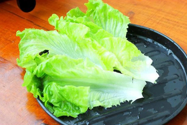 生菜能不能減肥 生菜減肥效果如何 生菜能不能減肥 生菜減肥效果如何