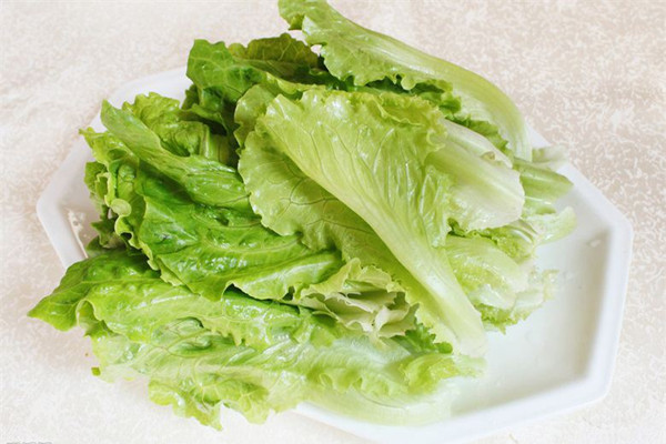 生菜會不會致癌 生菜應(yīng)該怎么清洗 生菜會不會致癌 生菜應(yīng)該怎么清洗