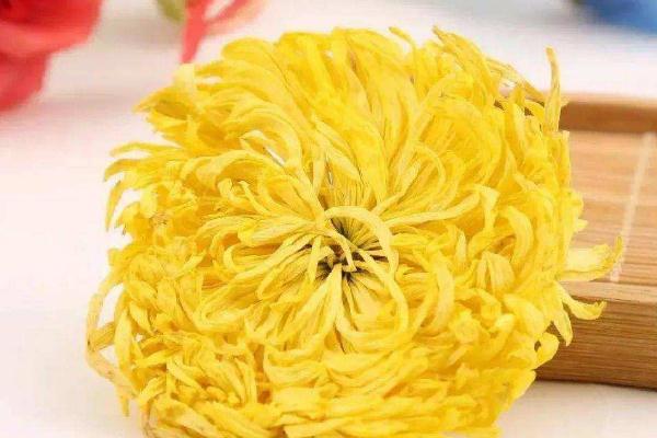 金絲皇菊可以長期喝嗎 長期喝金絲皇菊有什么危害 金絲皇菊可以長期喝嗎 長期喝金絲皇菊有什么危害