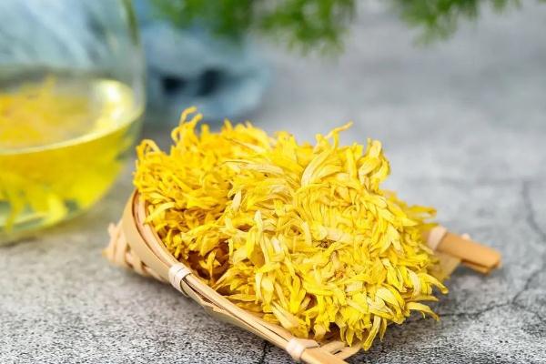 金絲皇菊要不要洗 金絲皇菊怎么泡 金絲皇菊要不要洗 金絲皇菊怎么泡