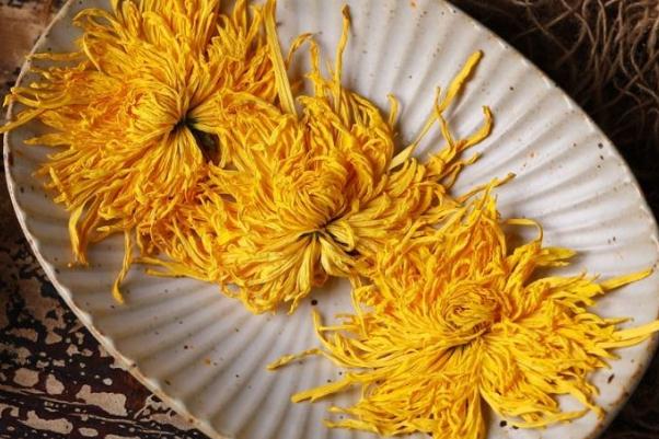 金絲皇菊要不要洗 金絲皇菊怎么泡 金絲皇菊要不要洗 金絲皇菊怎么泡