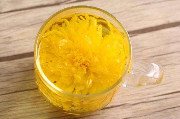 金絲皇菊是去火的嗎 喝金絲皇菊對(duì)眼睛有好處嗎 金絲皇菊是去火的嗎 喝金絲皇菊對(duì)眼睛有好處嗎