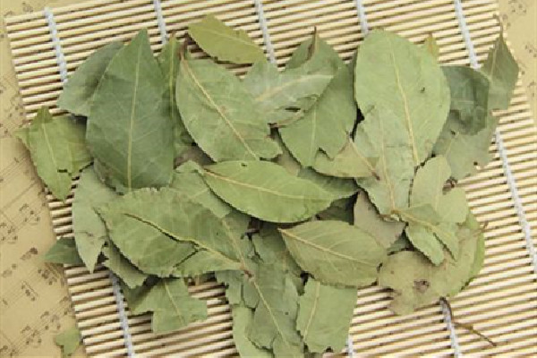 香葉在調(diào)料中的作用 香葉燉肉什么時(shí)候放 香葉在調(diào)料中的作用 香葉燉肉什么時(shí)候放