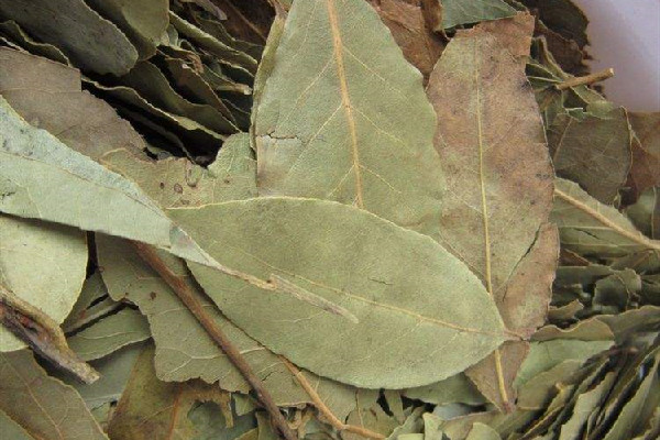 香葉在調(diào)料中的作用 香葉燉肉什么時(shí)候放 香葉在調(diào)料中的作用 香葉燉肉什么時(shí)候放