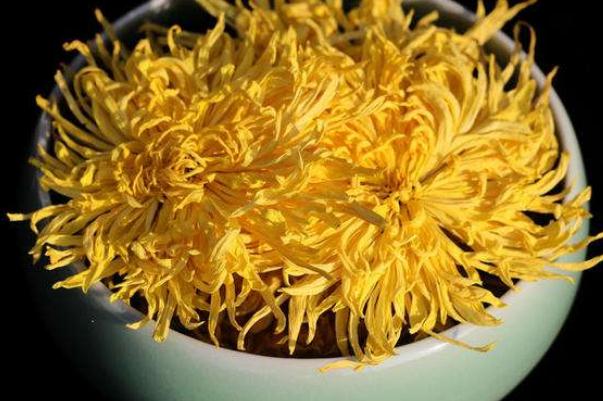 金絲皇菊是去火的嗎 喝金絲皇菊對(duì)眼睛有好處嗎 金絲皇菊是去火的嗎 喝金絲皇菊對(duì)眼睛有好處嗎