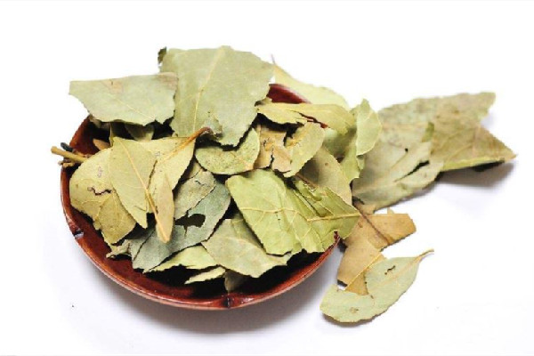 香葉適合做什么菜 香葉在鹵水中起到什么樣的作用 香葉適合做什么菜 香葉在鹵水中起到什么樣的作用