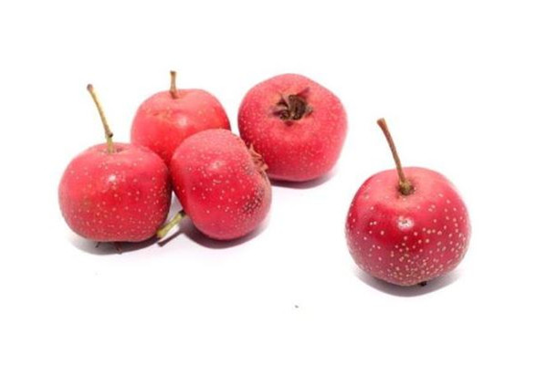 山楂有維生素c嗎 山楂有什么營養(yǎng)價值 山楂有維生素c嗎 山楂有什么營養(yǎng)價值