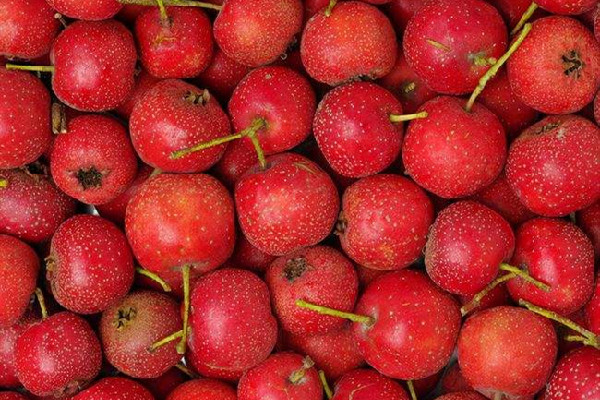 山楂有沒有降糖的功效 山楂怎么吃比較好 山楂有沒有降糖的功效 山楂怎么吃比較好