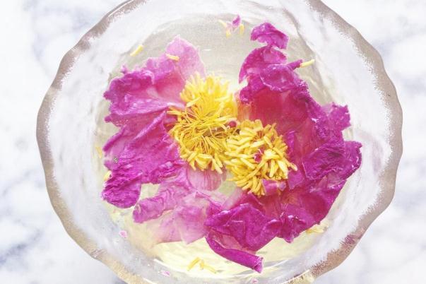 牡丹花茶的味道 牡丹花茶的禁忌 牡丹花茶的味道 牡丹花茶的禁忌