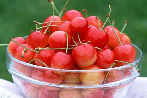 櫻桃是什么味道 櫻桃吃了會(huì)上火嗎 櫻桃是什么味道 櫻桃吃了會(huì)上火嗎