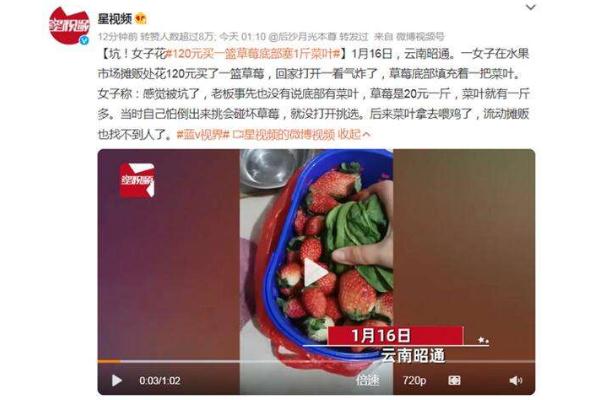 草莓什么季節(jié)成熟 120元買(mǎi)一籃草莓底部塞1斤菜葉 草莓什么季節(jié)成熟 120元買(mǎi)一籃草莓底部塞1斤菜葉