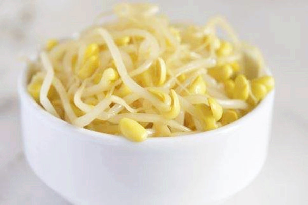 黃豆芽有助于排便嗎 黃豆芽變黑了可以吃嗎 黃豆芽有助于排便嗎 黃豆芽變黑了可以吃嗎