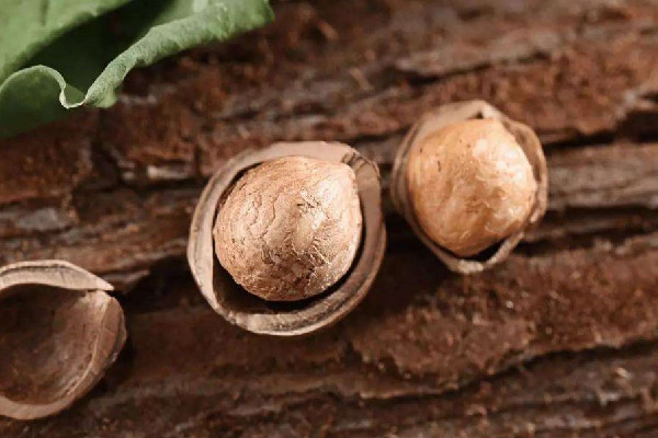 榛子殼怎樣打開 榛子剝不開怎么辦 榛子殼怎樣打開 榛子剝不開怎么辦