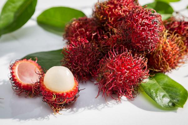 紅毛丹可以直接吃嗎 紅毛丹可以吃核嗎 紅毛丹可以直接吃嗎 紅毛丹可以吃核嗎