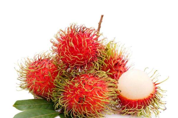 紅毛丹有毒嗎 紅毛丹有哪些營養(yǎng)價(jià)值 紅毛丹有毒嗎 紅毛丹有哪些營養(yǎng)價(jià)值