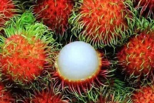 紅毛丹對(duì)胃好嗎 胃痛可以吃紅毛丹嗎 紅毛丹對(duì)胃好嗎 胃痛可以吃紅毛丹嗎