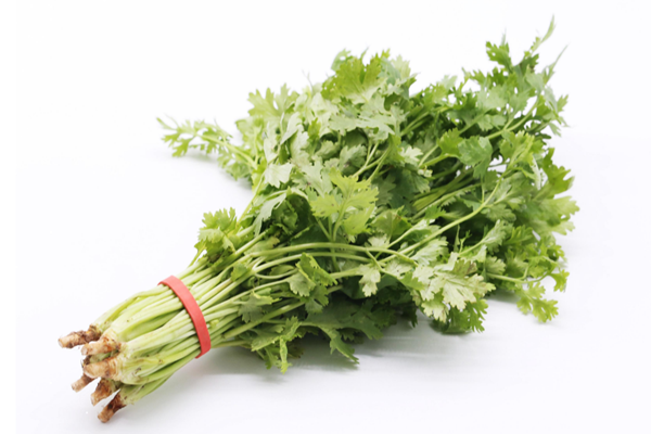 香菜能降血壓?jiǎn)?香菜能降血糖嗎 香菜能降血壓?jiǎn)?香菜能降血糖嗎