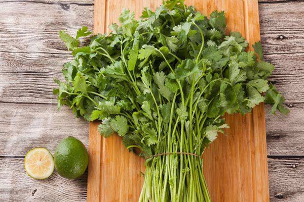 香菜有減肥的功效嗎 香菜減肥效果怎么樣 香菜有減肥的功效嗎 香菜減肥效果怎么樣