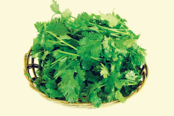 香菜有減肥的功效嗎 香菜減肥效果怎么樣 香菜有減肥的功效嗎 香菜減肥效果怎么樣